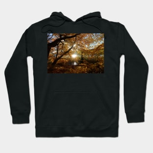 Autumn by the lake Hoodie